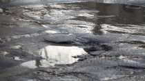 Трасса «Кишинев – Джурджулшеты» стало настоящим кошмаром для водителей юга  ...